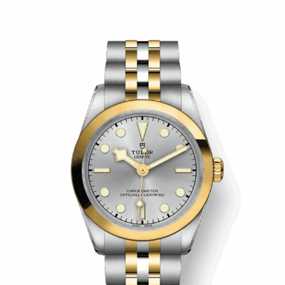 Tudor Black Bay 39 S&G, Stainless Steel and 18k Yellow Gold, Ref# M79663-0002