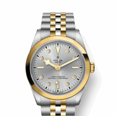 Tudor Black Bay 36 S&G, 316L Stainless Steel and 18k Yellow Gold, Ref# M79643-0007