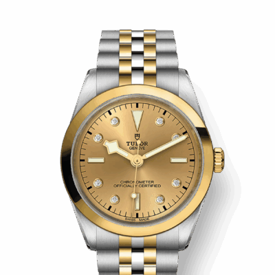 Tudor Black Bay 36 S&G, 316L Stainless Steel and 18k Yellow Gold, Ref# M79643-0008