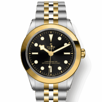 Tudor Black Bay 39 S&G, 316L Stainless Steel and 18k Yellow Gold, Ref# M79663-0001