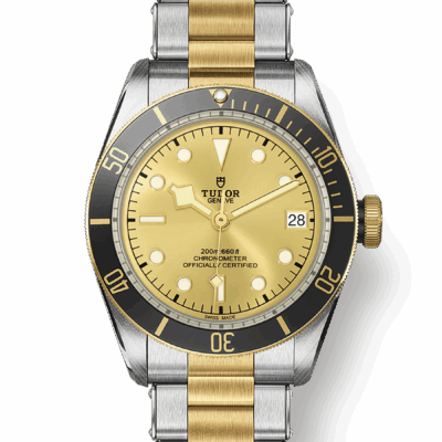 Tudor Black Bay S&G, 41mm, Stainless Steel and 18k Yellow Gold, Ref# M79733N-0004