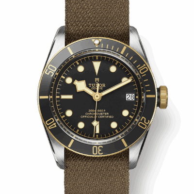 Tudor Black Bay S&G, 41mm, Stainless Steel and 18k Yellow Gold, Ref# M79733N-0005
