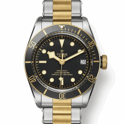 Tudor Black Bay S&G, 41mm, Stainless Steel and 18k Yellow Gold, Ref# M79733N-0008