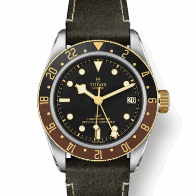 Tudor Black Bay GMT S&G, Stainless Steel and 18k Yellow Gold, 41mm, Ref# M79833MN-0003